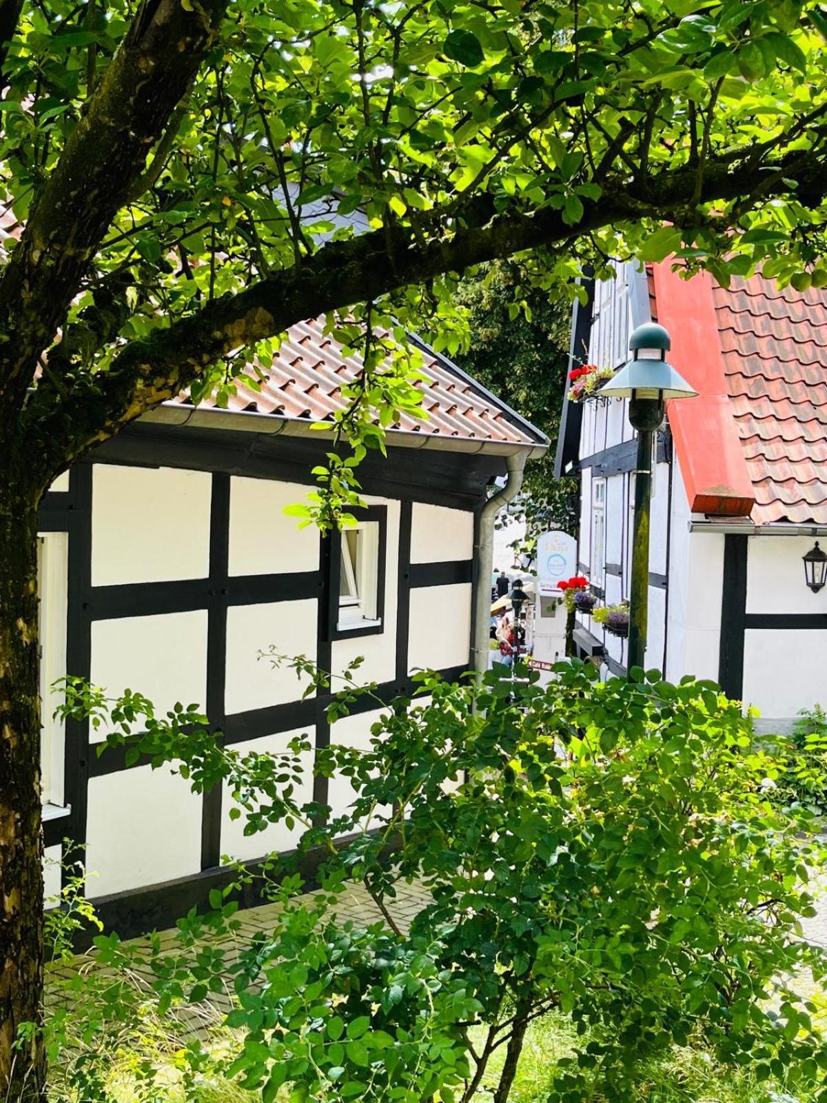 Lateinschule Lägenhet Tecklenburg Exteriör bild