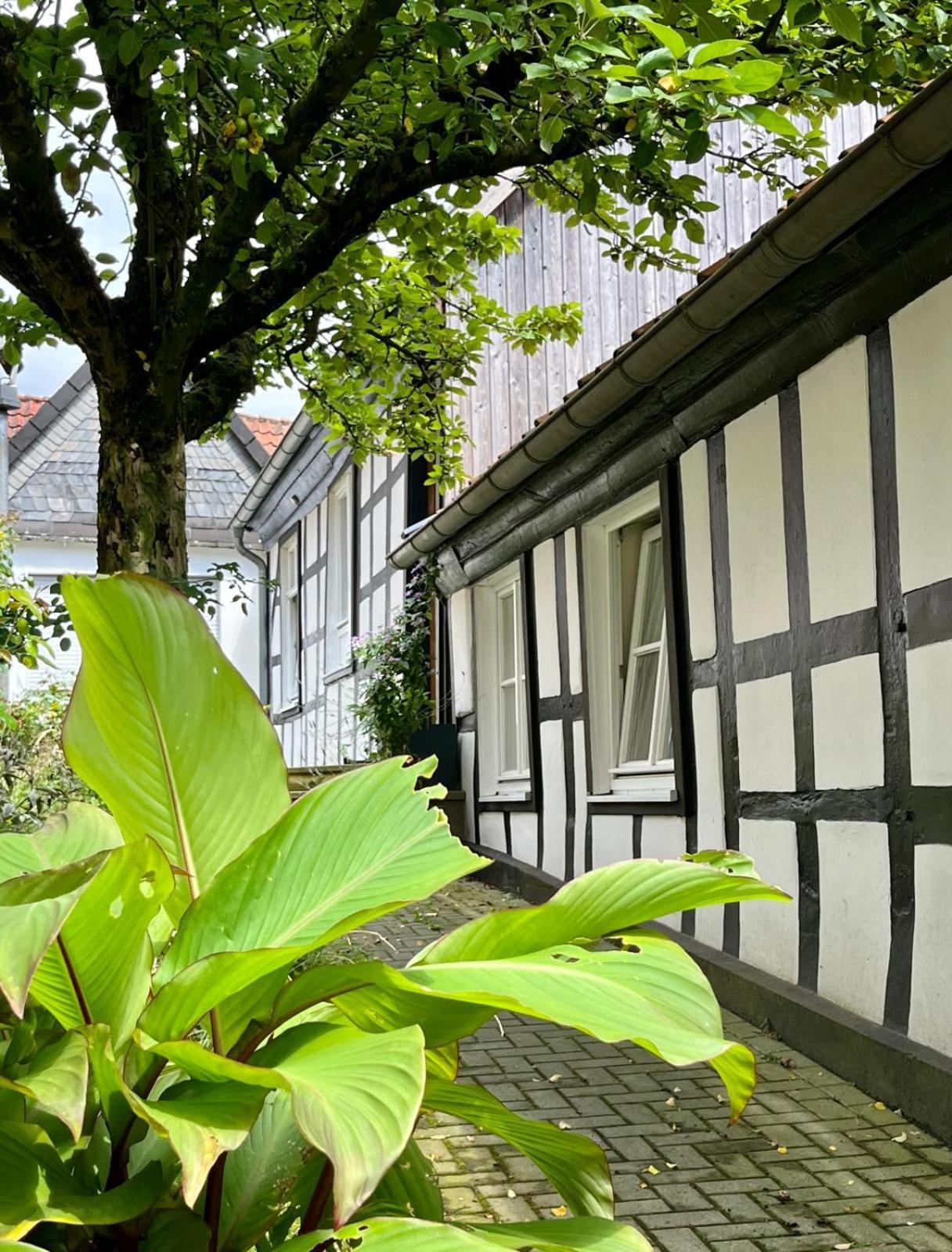 Lateinschule Lägenhet Tecklenburg Exteriör bild